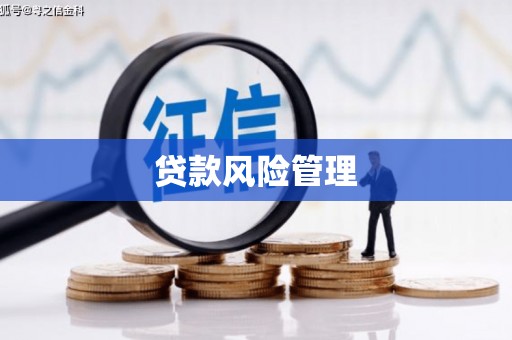 东至贷款风险管理