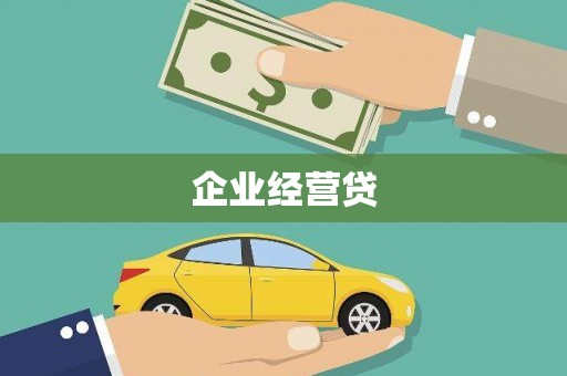 东至企业经营贷