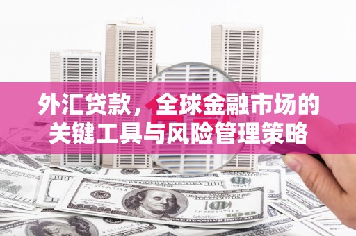 东至外汇贷款，全球金融市场的关键工具与风险管理策略