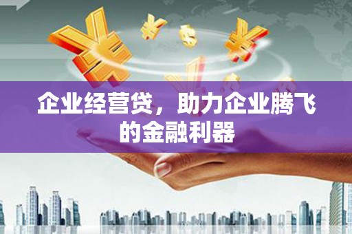 东至企业经营贷，助力企业腾飞的金融利器