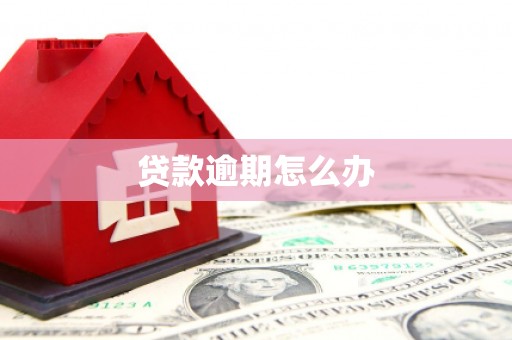 东至贷款逾期怎么办
