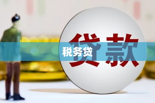 东至税务贷
