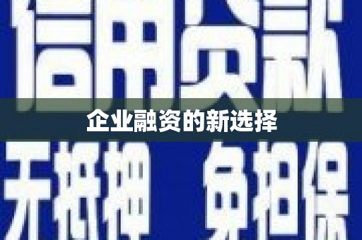 东至企业融资的新选择