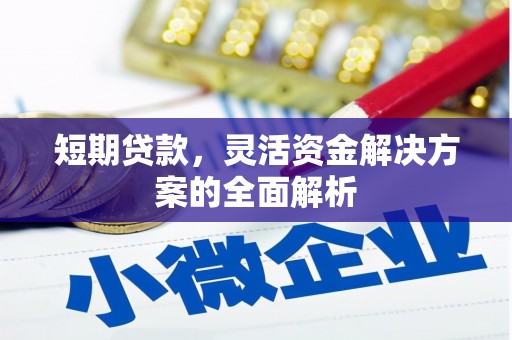 东至短期贷款，灵活资金解决方案的全面解析
