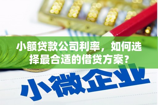 东至小额贷款公司利率，如何选择最合适的借贷方案？