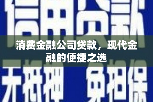 东至消费金融公司贷款，现代金融的便捷之选