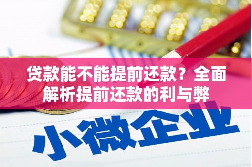 东至贷款能不能提前还款？全面解析提前还款的利与弊
