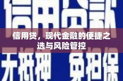 东至信用贷，现代金融的便捷之选与风险管控