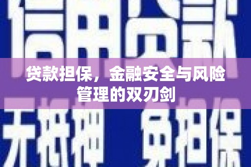 东至贷款担保，金融安全与风险管理的双刃剑