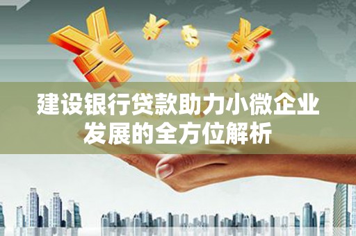 东至建设银行贷款助力小微企业发展的全方位解析