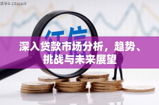 东至深入贷款市场分析，趋势、挑战与未来展望
