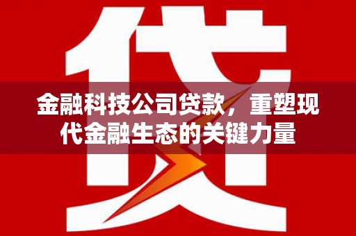 东至金融科技公司贷款，重塑现代金融生态的关键力量