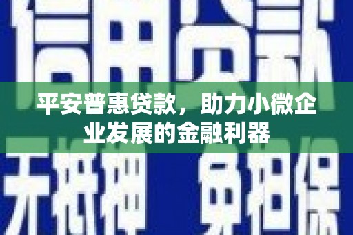 东至平安普惠贷款，助力小微企业发展的金融利器