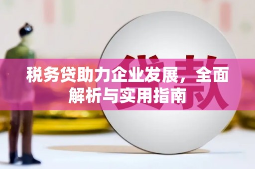 东至税务贷助力企业发展，全面解析与实用指南