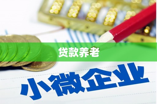东至贷款养老