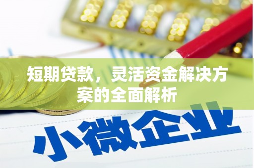东至短期贷款，灵活资金解决方案的全面解析