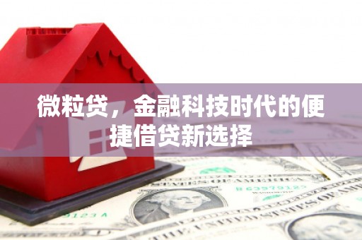 东至微粒贷，金融科技时代的便捷借贷新选择