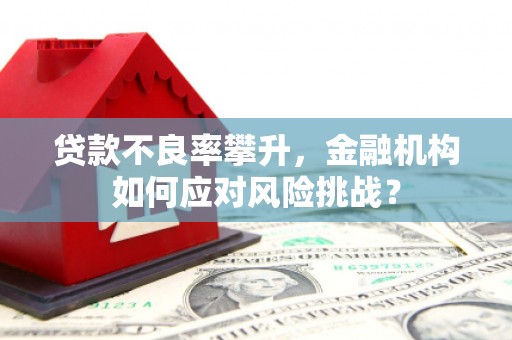 东至贷款不良率攀升，金融机构如何应对风险挑战？