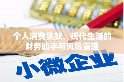 东至个人消费贷款，现代生活的财务助手与风险管理