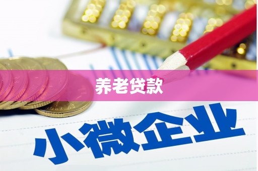 东至养老贷款