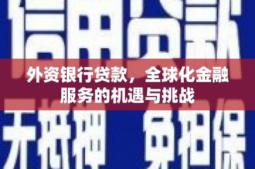 东至外资银行贷款，全球化金融服务的机遇与挑战