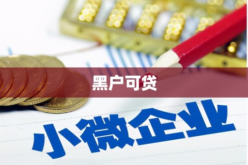 东至黑户可贷