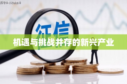 东至机遇与挑战并存的新兴产业