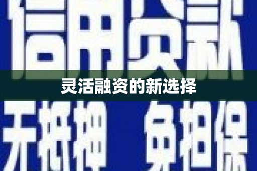 东至灵活融资的新选择