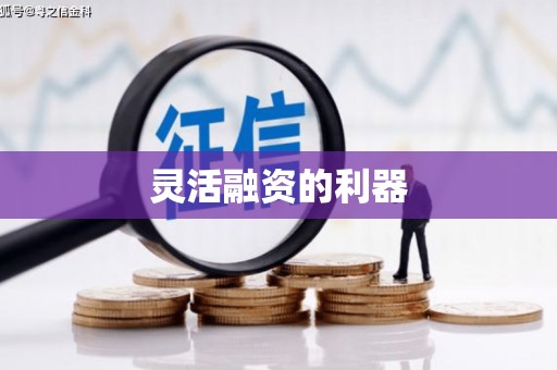 东至灵活融资的利器