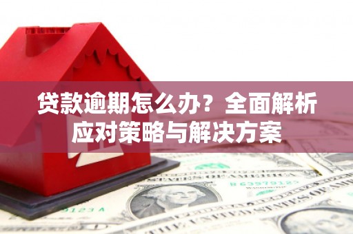 东至贷款逾期怎么办？全面解析应对策略与解决方案