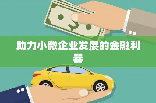 东至助力小微企业发展的金融利器