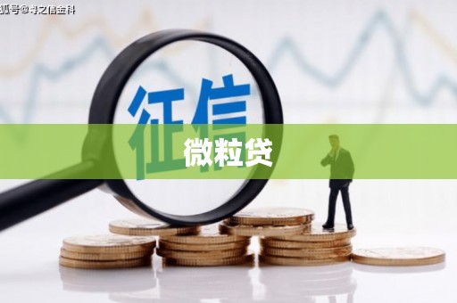 东至微粒贷