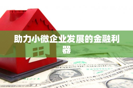 东至助力小微企业发展的金融利器