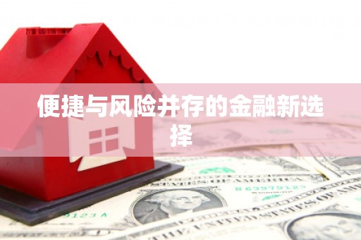 东至便捷与风险并存的金融新选择