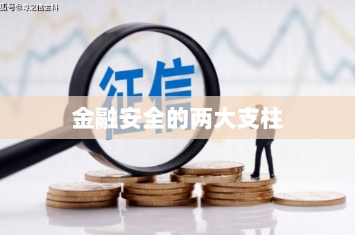 东至金融安全的两大支柱