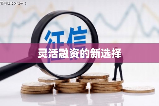 东至灵活融资的新选择