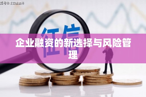 东至企业融资的新选择与风险管理