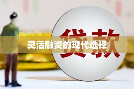 东至灵活融资的现代选择