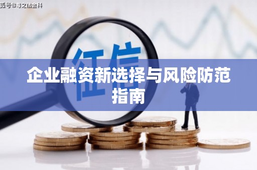 东至企业融资新选择与风险防范指南