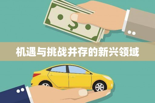 东至机遇与挑战并存的新兴领域