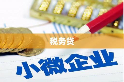 东至税务贷