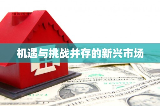 东至机遇与挑战并存的新兴市场