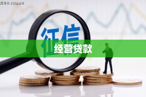 东至经营贷款
