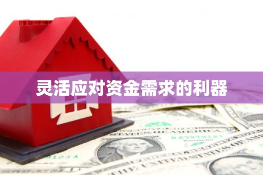 东至灵活应对资金需求的利器