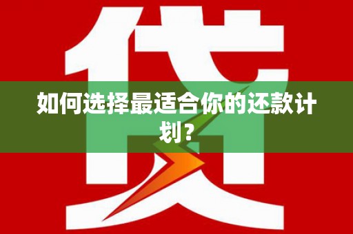 东至如何选择最适合你的还款计划？