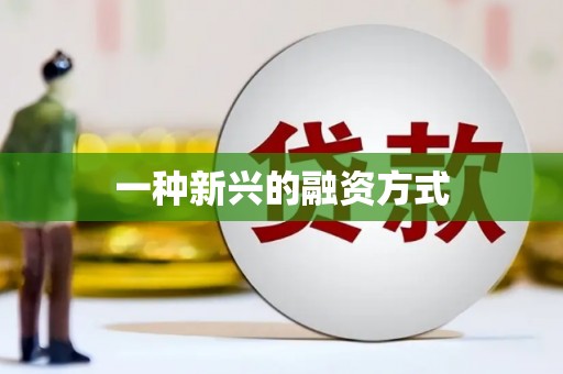 东至一种新兴的融资方式