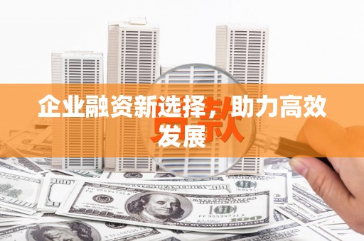 东至企业融资新选择，助力高效发展
