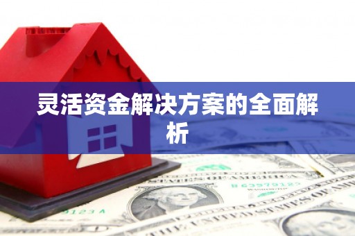 东至灵活资金解决方案的全面解析