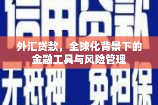 东至外汇贷款，全球化背景下的金融工具与风险管理