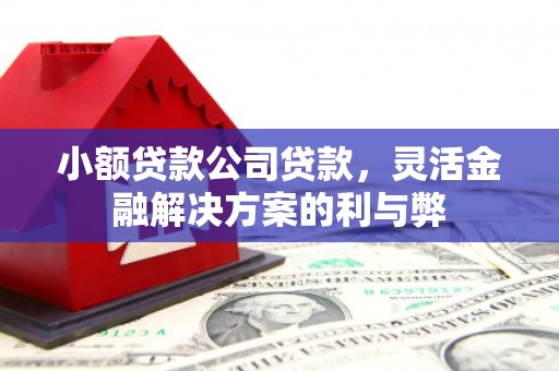 东至小额贷款公司贷款，灵活金融解决方案的利与弊